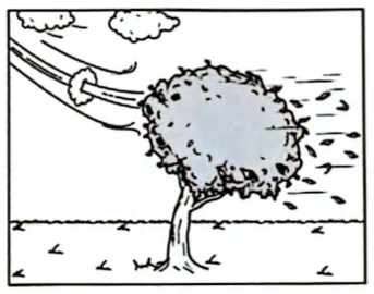 B